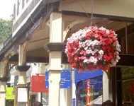 Blumenampelnv.webp