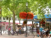 Blumenampelnv (1).webp