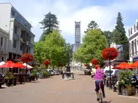 Blumenampelnv (2).webp