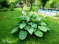 P1000561.webp
