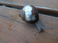 P1160880.webp