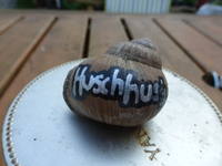 P1160850.webp