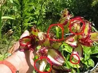 028_1024x768.webp