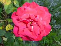 P1160856.webp