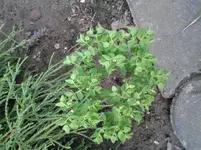 20140724_172022.webp