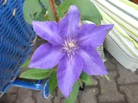 P1160419.webp