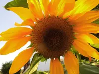 020.webp