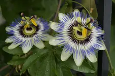 _DSC6559.webp
