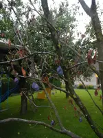 DSCN4886.webp