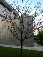 DSCN4885.webp