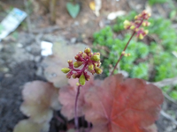 P1160806.webp