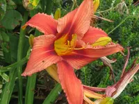 034_1024x768.webp
