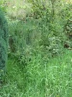 023_576x768.webp