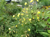 024_1024x768.webp
