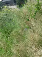 026_576x768.webp