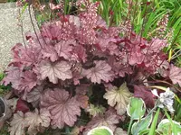 062_1024x768.webp