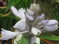 063_1024x768.webp