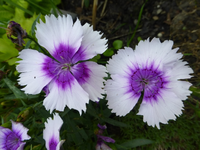 P1160821.webp