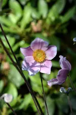 DSC_2174.webp