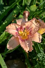 DSC_2173.webp