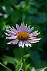 DSC_2167.webp