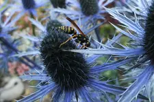 DSCF7404.webp