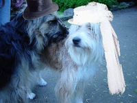 20121022_20.webp
