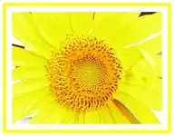 030.webp
