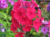 033_1024x768.webp