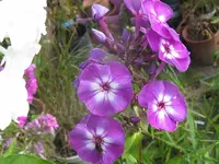 034_1024x768.webp