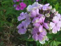 035_1024x768.webp