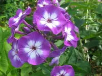 037_1024x768.webp