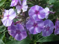 039_1024x768.webp