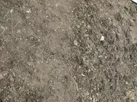 k-P1080159.webp