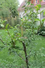 Bild_01.webp