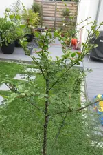Bild_02.webp