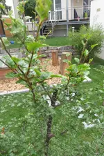 Bild_03.webp