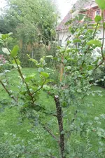 Bild_04.webp