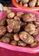 Kartoffeln.webp