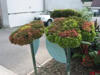 020.webp