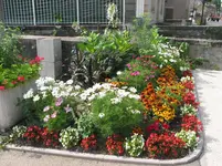 017.webp