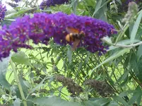 021.webp