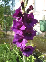 023.webp