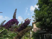 002.webp