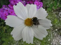 024.webp