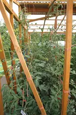 R-1_2-IMG_3203.webp