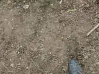 k-P1080160.webp