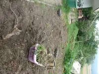 k-P1080161.webp