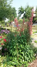 25.7 011.webp
