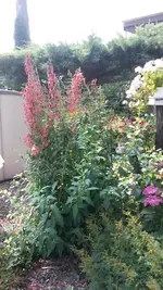 25.7 012.webp